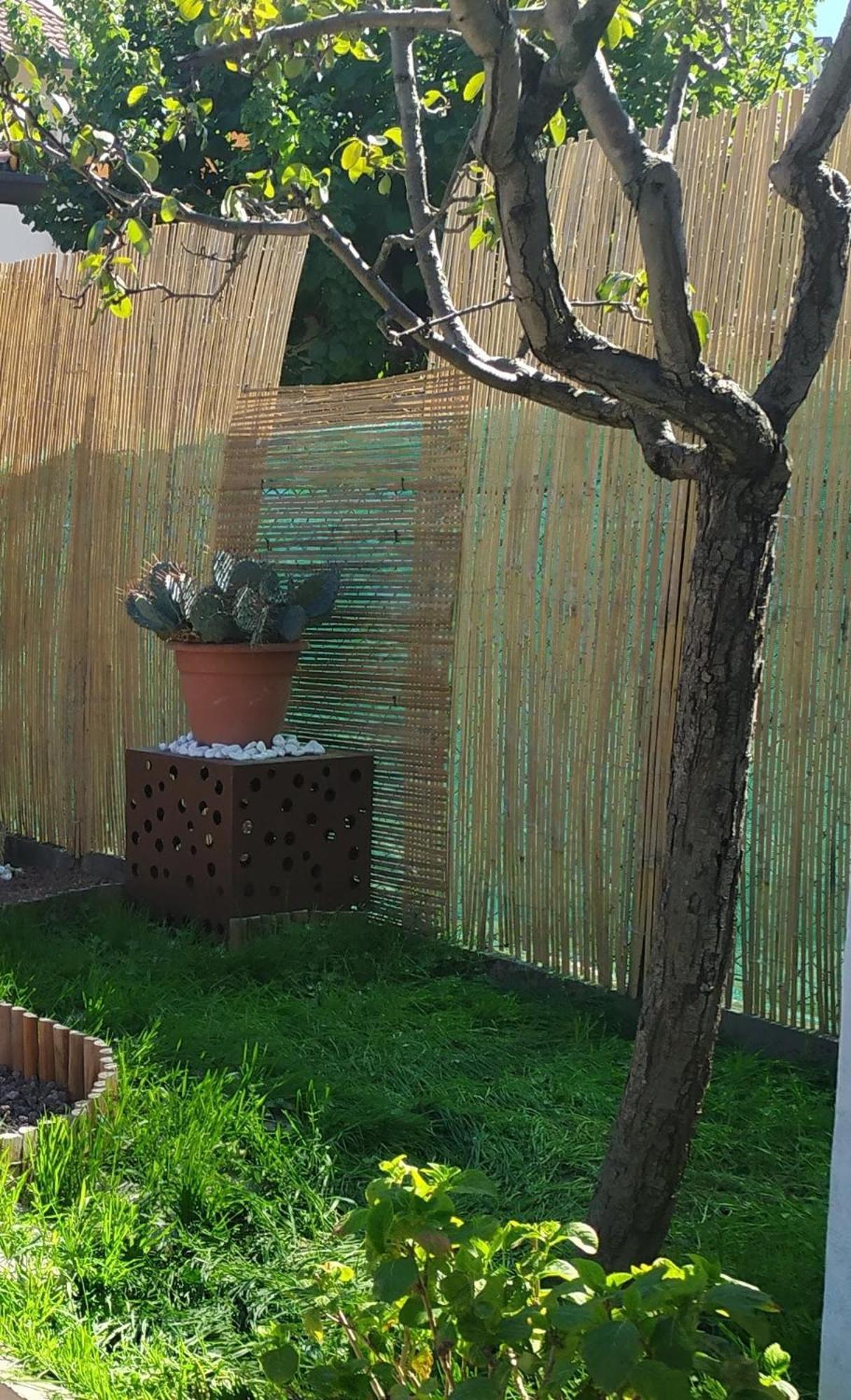 Lacchiarella Shanti Ca' Casa Indipendente Con Giardino מראה חיצוני תמונה